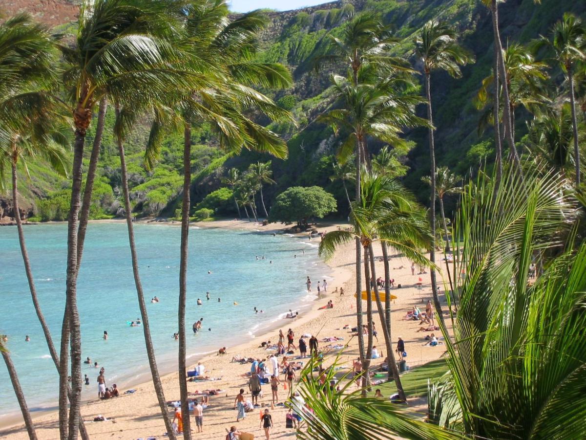 Free Parking, Pool, Sauna, Spa, Wifi, Bbq, Ac - Waikiki Banyan Honolulu Dış mekan fotoğraf