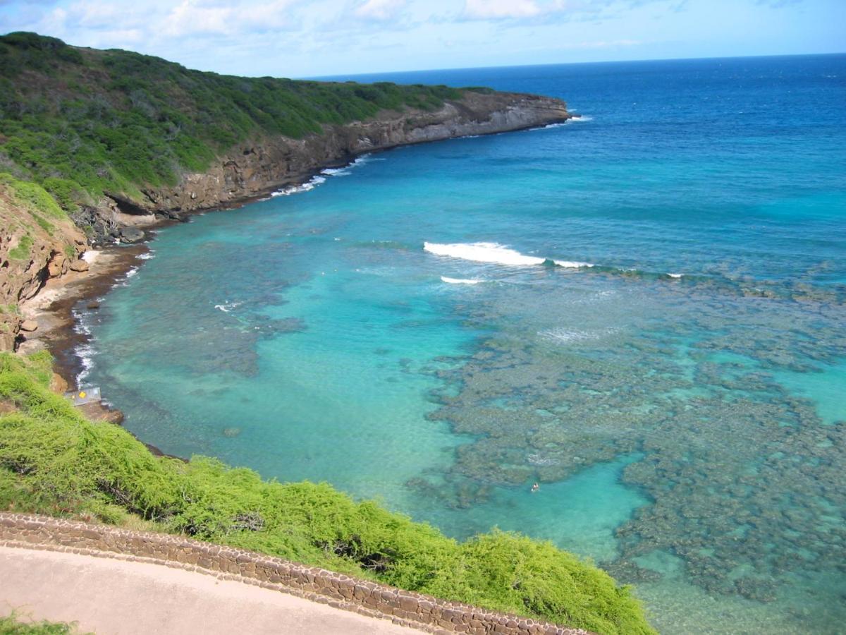 Free Parking, Pool, Sauna, Spa, Wifi, Bbq, Ac - Waikiki Banyan Honolulu Dış mekan fotoğraf