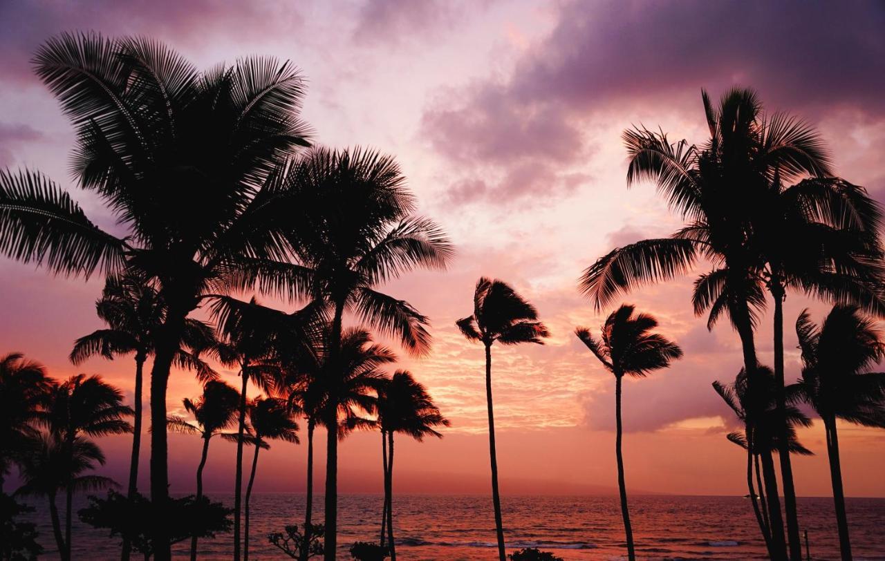 Free Parking, Pool, Sauna, Spa, Wifi, Bbq, Ac - Waikiki Banyan Honolulu Dış mekan fotoğraf