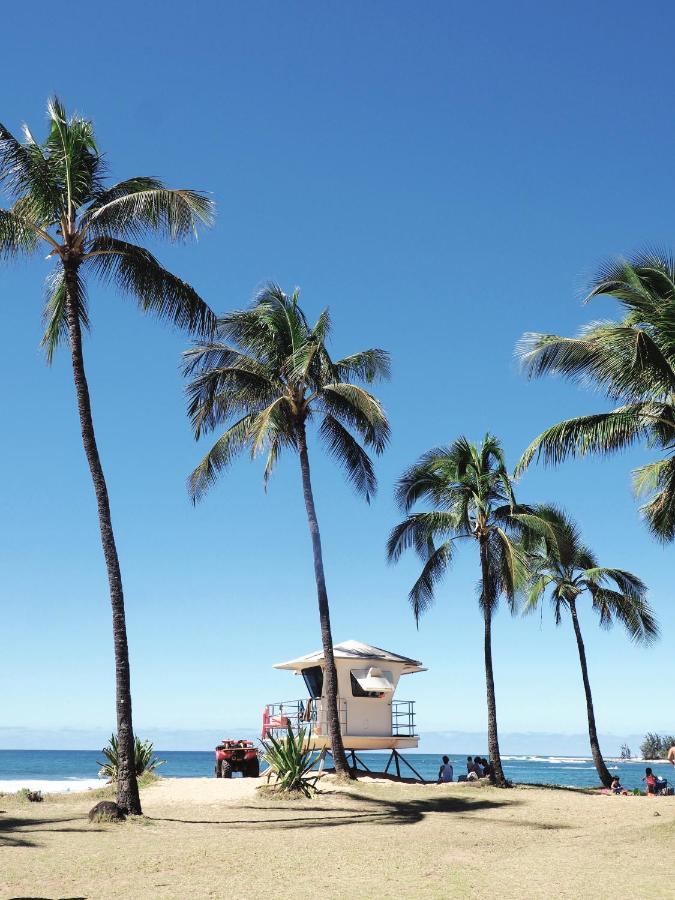 Free Parking, Pool, Sauna, Spa, Wifi, Bbq, Ac - Waikiki Banyan Honolulu Dış mekan fotoğraf